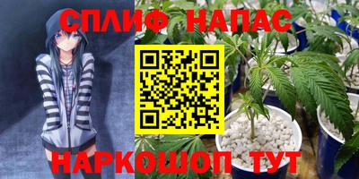 стафф Лесосибирск