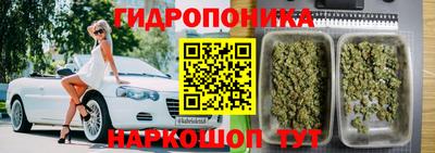 стафф Лесосибирск