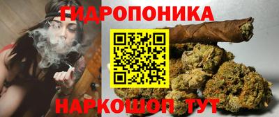 прущие грибы Ликино-Дулёво